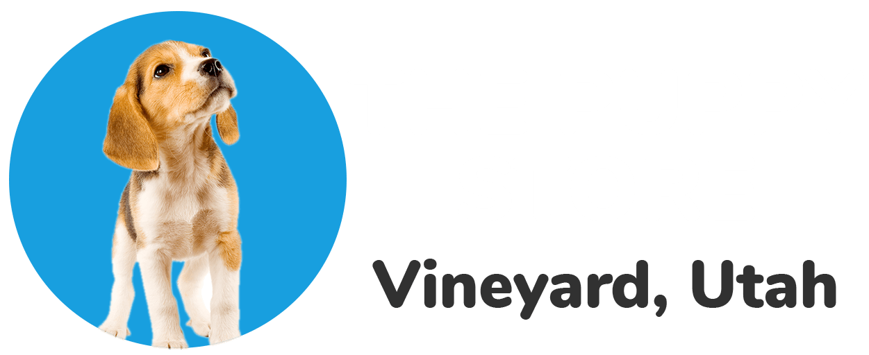 Available Puppy Breeds For Sale The Puppy Store Vineyard